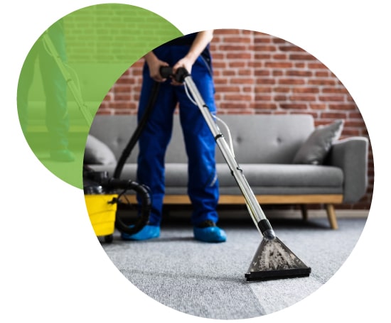  Best Carpet Cleaners In Lesley